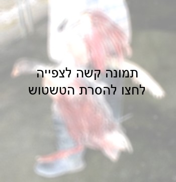 העמסה להובלה של אווזים בסוף תהליך הפיטום, במצב של גסיסה מתקדמת. צולם במושב בן זכאי, מאי 2001.