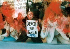 הפגנה נגד פרוות מטעם PETA על חלון ראווה