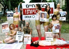 מיצג שערכו פעילי אנונימוס לציון יום זכויות בעלי חיים 2009