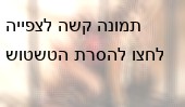 ביצי סוללה מול ביצי חופש