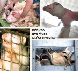 תעשיות לבוש