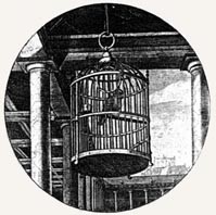 כיצד קיים ר' זוסיא מצוות פדיון שבויים?