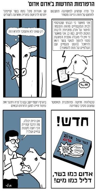 התייחסות לפרשה של הקריקטוריסחגי גילר, 13.12.2012.