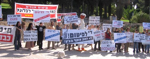 הפגנה נגד פיטום אווזים
