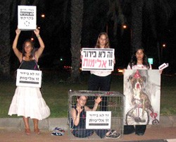 הפגת אנונימוס נגד קרקס מדראנו