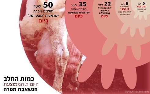 העטינים שממדיהם יצאו מכלל שליטה