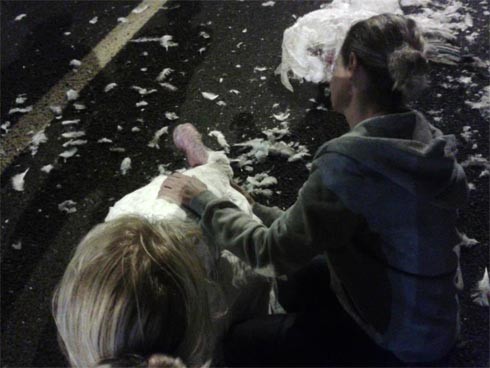 זוגלובק - אכזריות שהיא לא תאונה