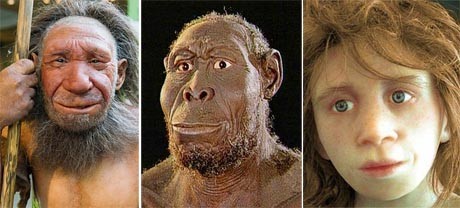 קיצור תולדות האנושות