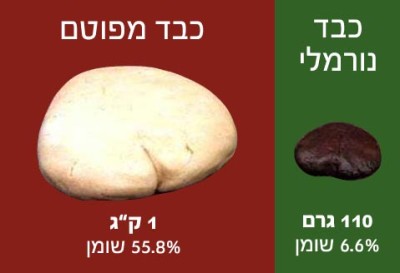 עובדות על פיטום אווזים