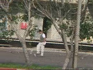 מדביר דורך על יונים פצועות כדי להרוג אותן