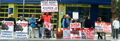 מחאה נגד מלחמות פרים בברצלונה. צילום: )Indrarado