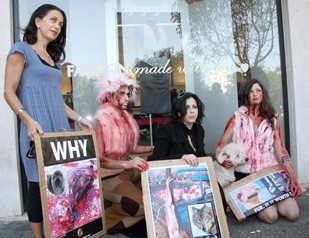 הפגנה לתמיכה בחוק להגבלת ייבוא מוצרי פרווה בהשתתפות יוזמת החוק, ח כ דאז רונית תירוש. גם להצעה זו מתנגד...