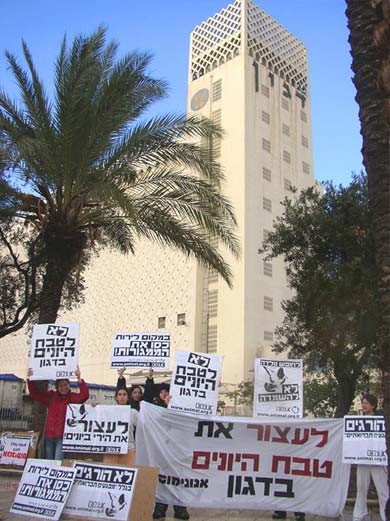 הפגנת אנונימוס נגד טבח היונים, 8.1.2006.