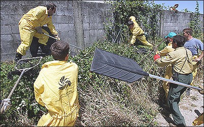 לוכדים מסנים באמצעות אתים מגומי לתפוס את החורפנים