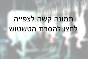 תרנגולות תלויות מרגליהן במסוע