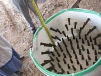 מכונה למריטת נוצות