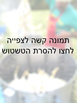 עובד במשק פרטי מורט נוצות מתרנגולות