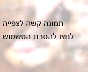 עובד גוזר צמר מטלה