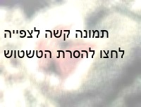 ניתוח המיולס באחד הטלאים
