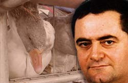 נגד החוק והמשפט