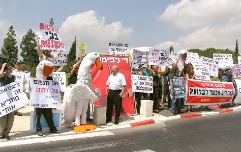 נגד החוק והמשפט