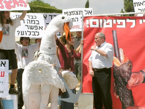 בזמן הדיון: הפגנת אנונימוס, עם ח כ זבולון אורלב