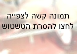 שחיטת כבשים