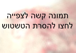 לאחר השחיטה