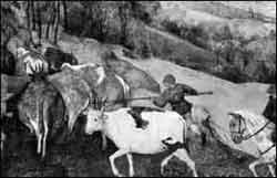 טרבלינקה בקר