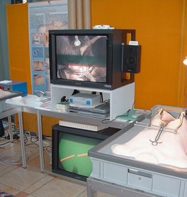 מודל אנטומי המיועד להכשרה כירורגית שפותח באוניברסיטת ציריך. בובת האימון בנויה לפי יציקה של איברים...