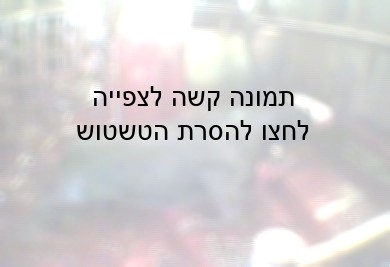 פרה במשחטה מוצפת דם