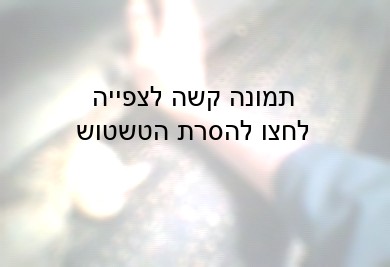 גריסת אפרוחים