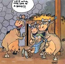 בואו נחלוב את בן הכלבה. פרות מחזיקות בכח חוואי. שינוי תפקידים - חיות אשר שולטות באנשים.