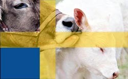 בעלי חיים בשבדיה. מערכות החקיקה, המשפט והאכיפה בתחום רווחת בעלי-החיים בשבדיה הן מהמתקדמות בעולם