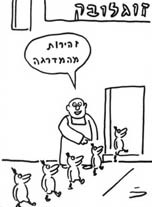 גבע